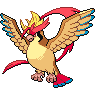 pidgeot mega