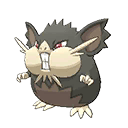 raticate totem alola