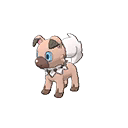 rockruff own tempo