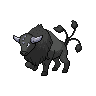 tauros paldea combat breed