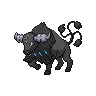 tauros paldea aqua breed