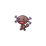 wooper paldea