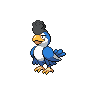 squawkabilly blue plumage