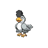 squawkabilly white plumage