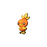 torchic