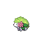 shaymin land