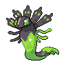zygarde 50